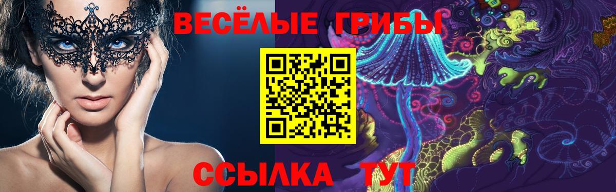 Псилоцибиновые грибы прущие грибы Похвистнево